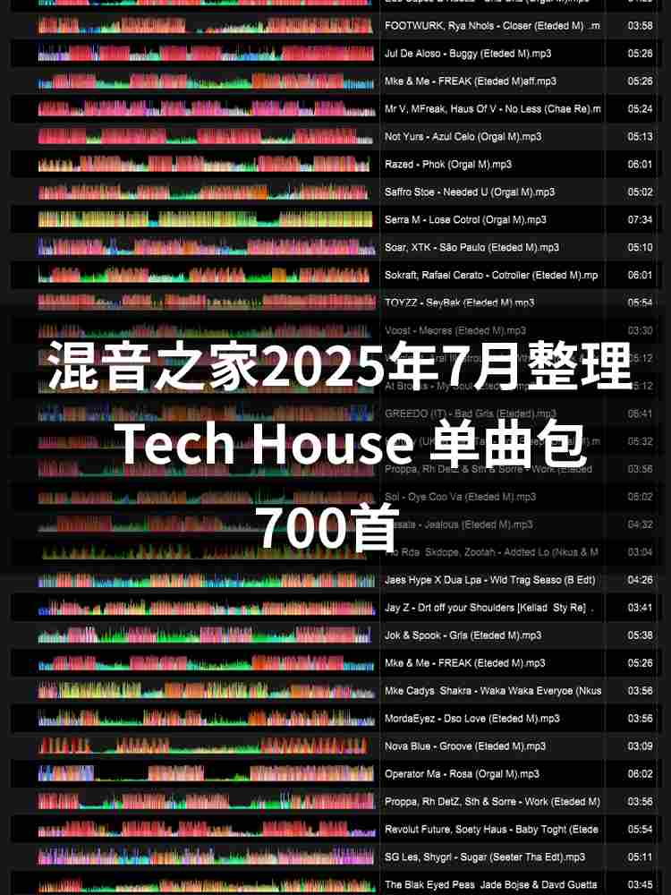 混音之家 2025年7月整理-Tech hosue（700首）